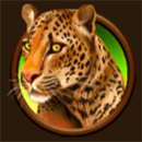 Huga Chaga Cheetah
