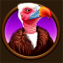 Huga Chaga Vulture